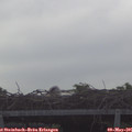 07_40-mast.jpg