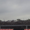 07_45-mast.jpg