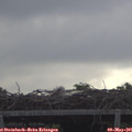 07_50-mast.jpg