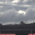 08_15-mast.jpg