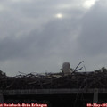 08_25-mast.jpg