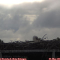 08_35-mast.jpg