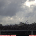 08_40-mast.jpg