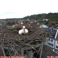 08_40-nest.jpg