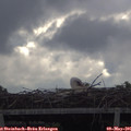 08_45-mast.jpg
