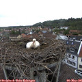 08_45-nest.jpg
