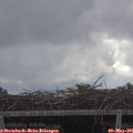 08_55-mast.jpg