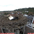 08_55-nest.jpg