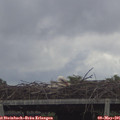 09_00-mast.jpg