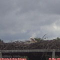 09_05-mast.jpg