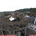 09_05-nest.jpg
