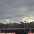 09_25-mast.jpg