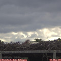 09_30-mast.jpg