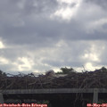 09_40-mast.jpg