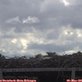 09_45-mast.jpg