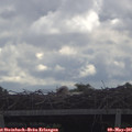 09_50-mast.jpg