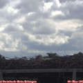 09_55-mast.jpg
