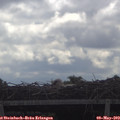 10_00-mast.jpg