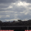 10_15-mast.jpg