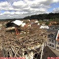 10_40-nest.jpg