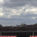 10_50-mast.jpg