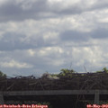 11_15-mast.jpg