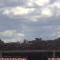 11_30-mast.jpg