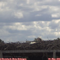 11_55-mast.jpg