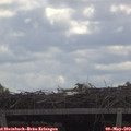 12_05-mast.jpg