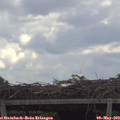 12_15-mast.jpg