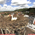 12_20-nest.jpg