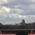 12_25-mast.jpg