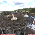 12_25-nest.jpg