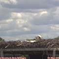 12_30-mast.jpg