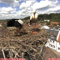 13_15-nest.jpg