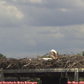 14_05-mast.jpg