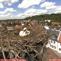 14_05-nest.jpg