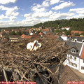 14_10-nest.jpg