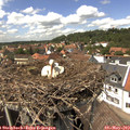 14_20-nest.jpg
