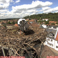 14_35-nest.jpg