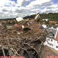 14_45-nest.jpg
