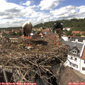15_10-nest.jpg