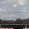 15_35-mast.jpg