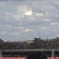 15_40-mast.jpg