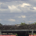 15_45-mast.jpg