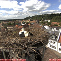 15_55-nest.jpg