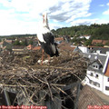 16_10-nest.jpg