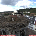 16_35-nest.jpg