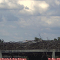 18_05-mast.jpg