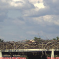 18_10-mast.jpg